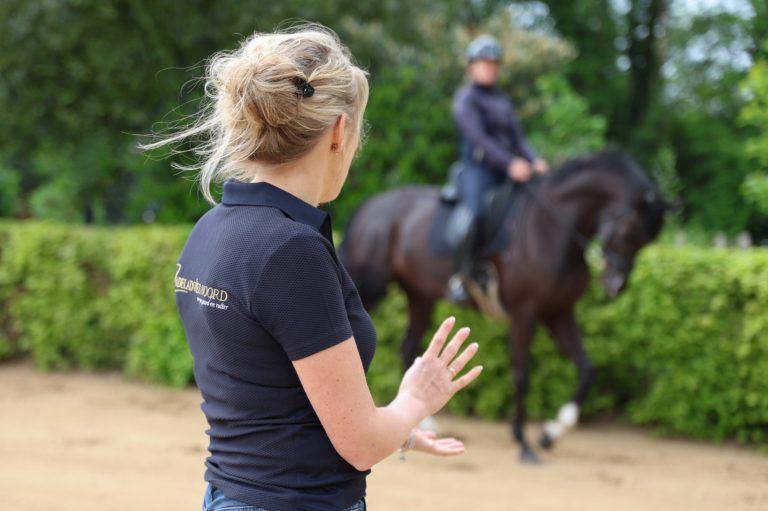 Zadeladvies Drenthe Zadeladvies Drenthe