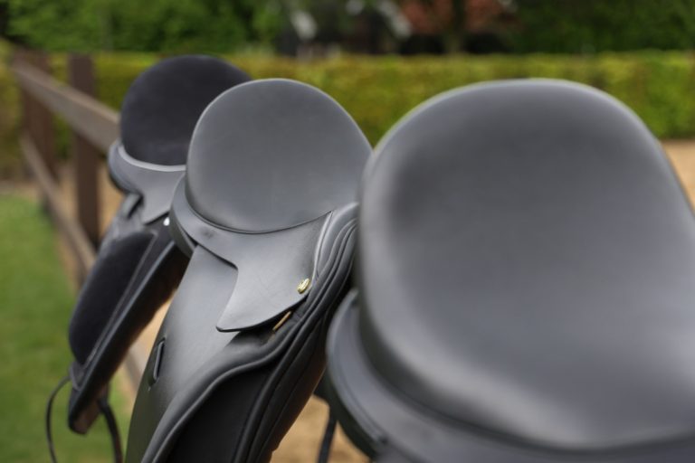 Zadeladvies Drenthe Zadeladvies Drenthe